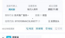 天天最新新闻爆料网站,揭秘最新爆料网站，独家资讯一网打尽！